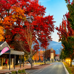 Bright – Autumn – main street square